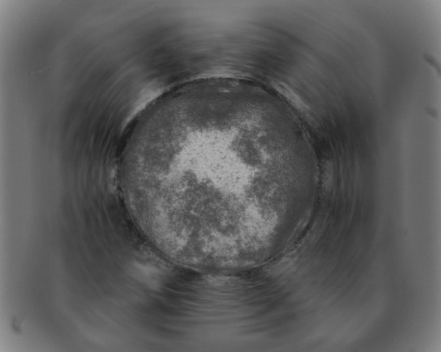 X0000091361258200708241302