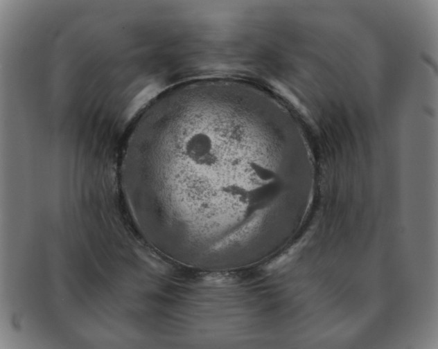 X0000091361259200708241302