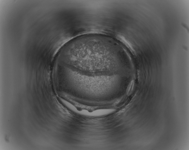 X0000091361260200708241302