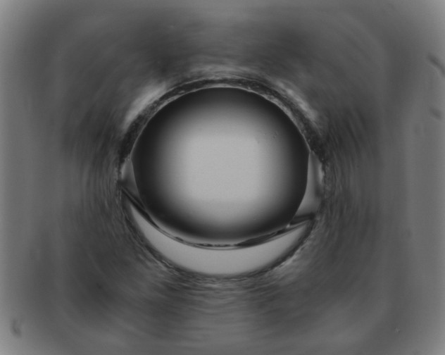 X0000091361261200708241302
