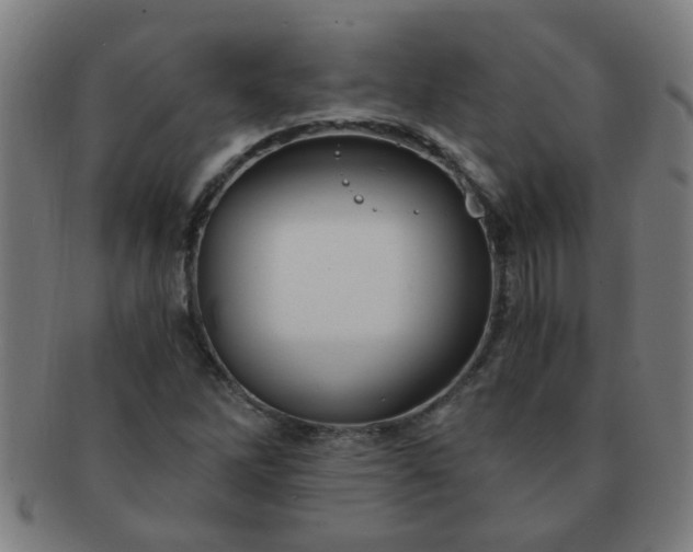 X0000091361262200708241302