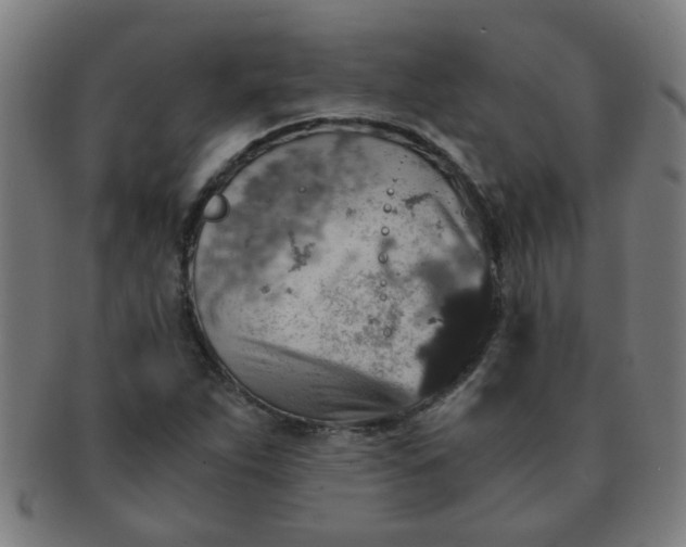 X0000091361263200708241302