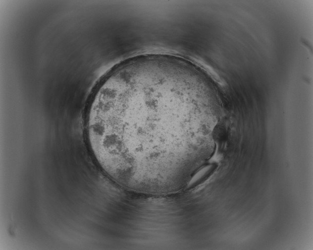 X0000091361264200708241302