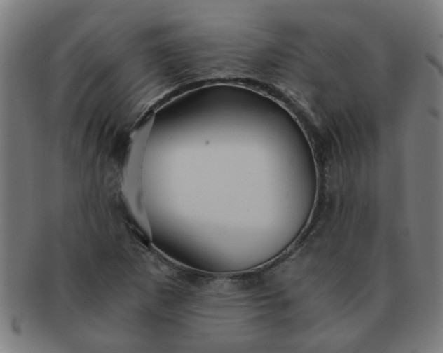 X0000091361265200708241302