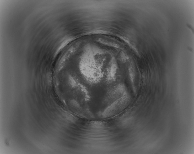 X0000091361266200708241302
