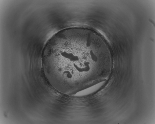 X0000091361267200708241302