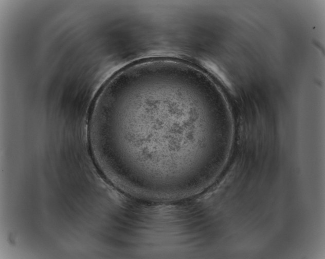 X0000091361268200708241302