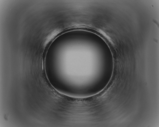 X0000091361269200708241302