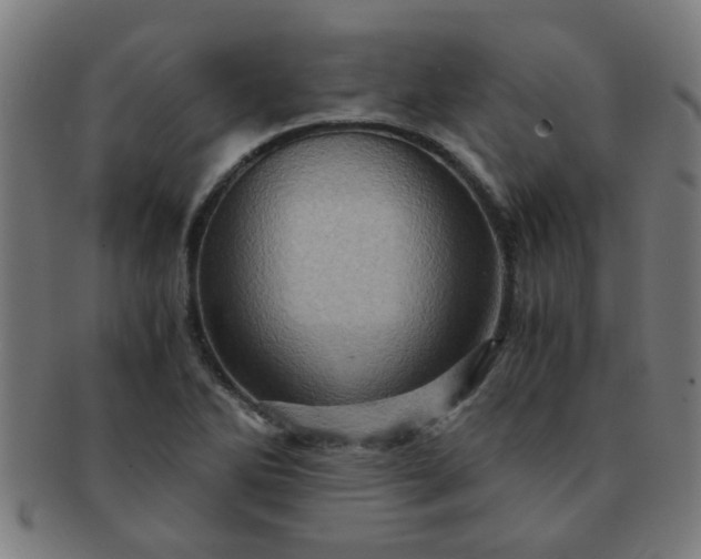 X0000091361270200708241302