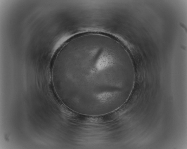 X0000091361271200708241302