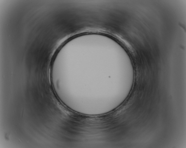 X0000091361272200708241302
