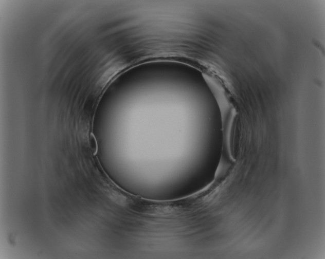 X0000091361273200708241302