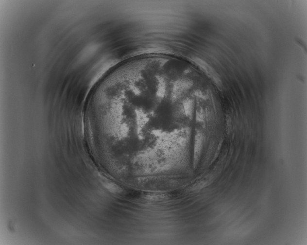 X0000091361274200708241302