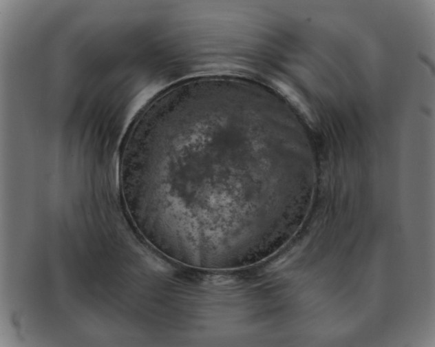 X0000091361275200708241302