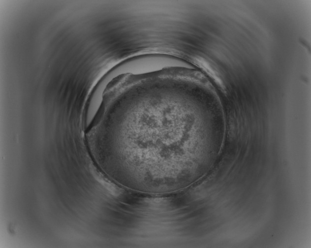 X0000091361276200708241302