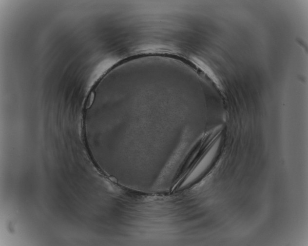 X0000091361277200708241302