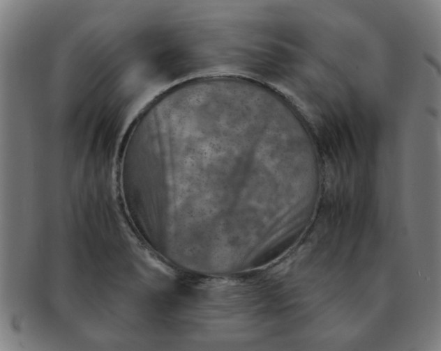 X0000091361278200708241302