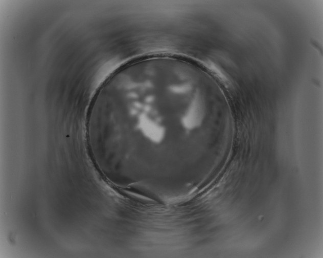 X0000091361279200708241302