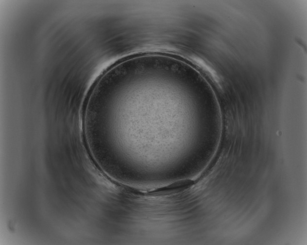 X0000091361280200708241302