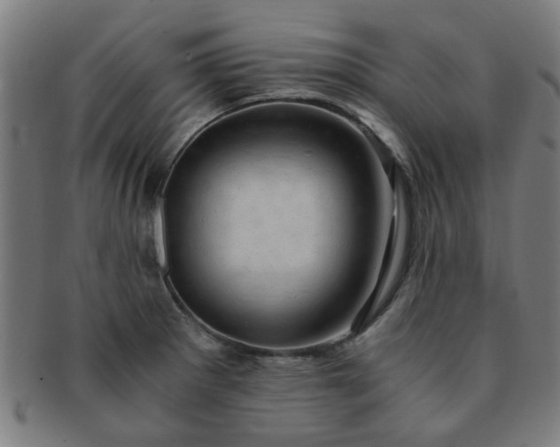 X0000091361281200708241302