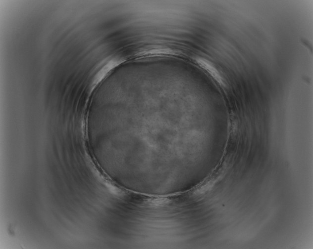 X0000091361282200708241302