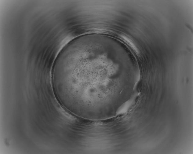 X0000091361283200708241302