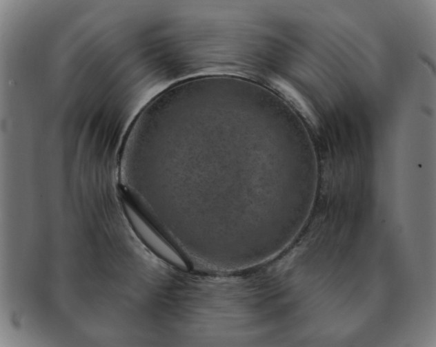 X0000091361284200708241302