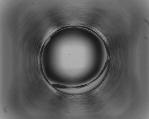 X0000091361285200708241302