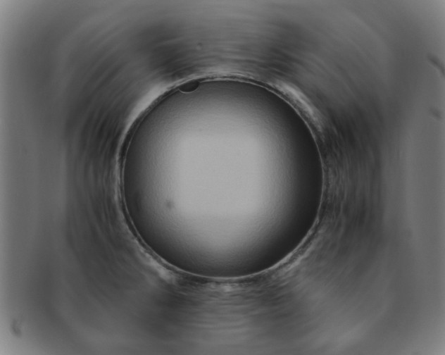 X0000091361286200708241302