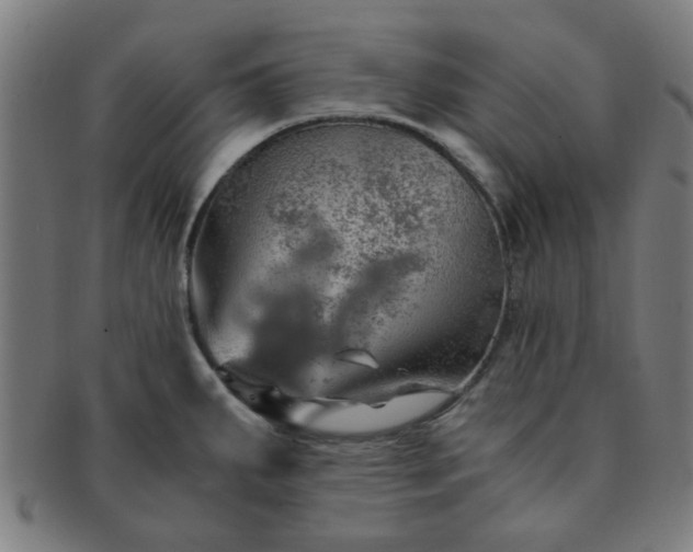 X0000091361287200708241302