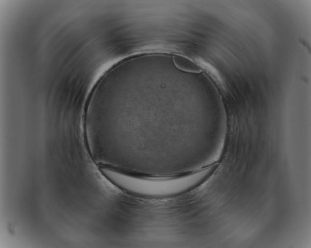X0000091361288200708241302