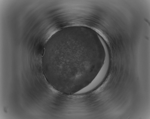 X0000091361289200708241302