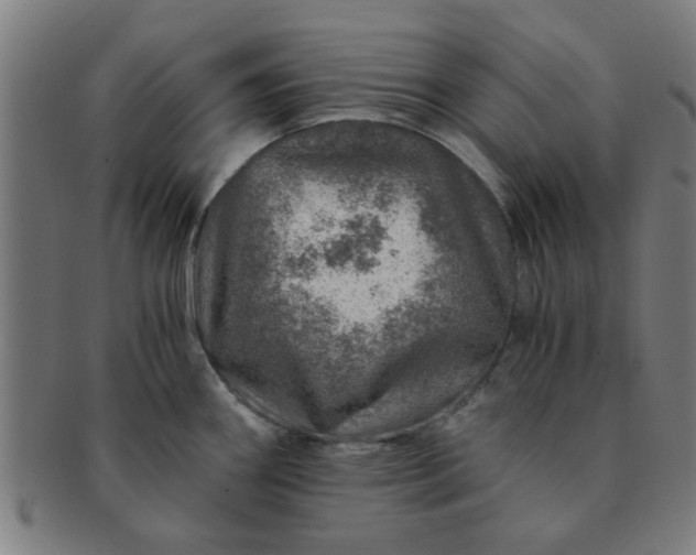 X0000091361290200708241302