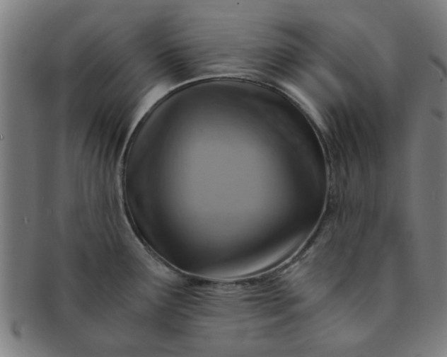 X0000091361291200708241302