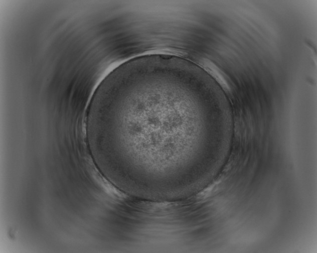 X0000091361292200708241302
