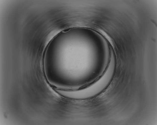 X0000091361293200708241302