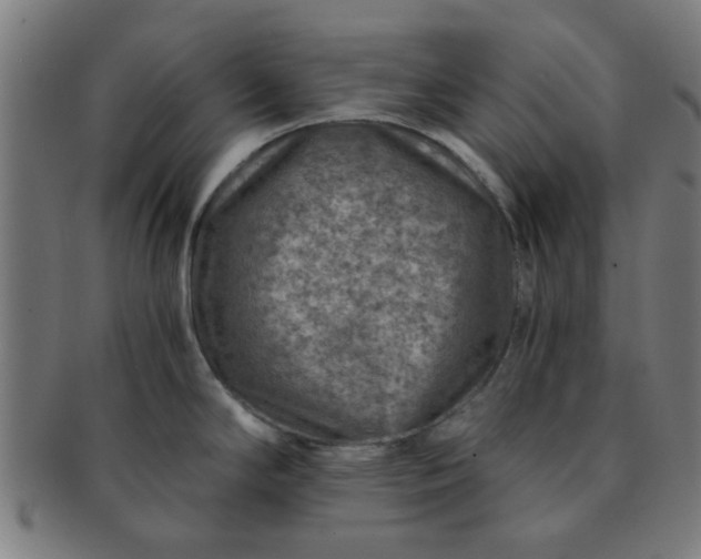 X0000091361294200708241302