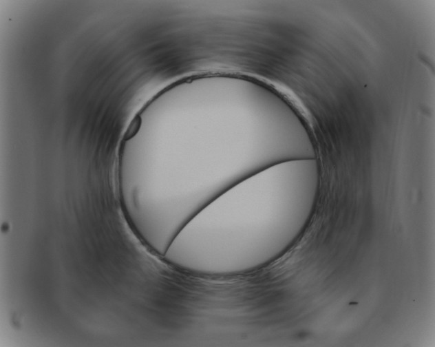 X0000091361295200708241302