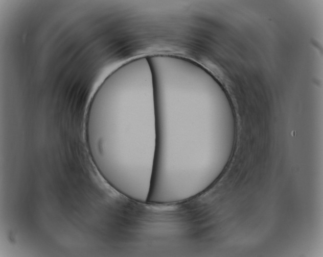 X0000091361296200708241302