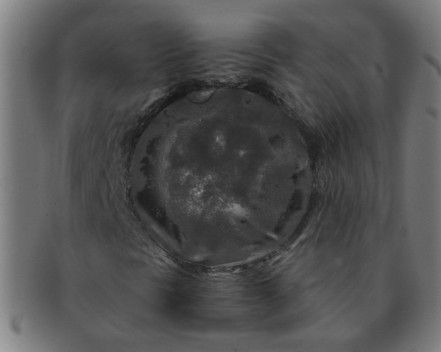X0000091361297200708241301