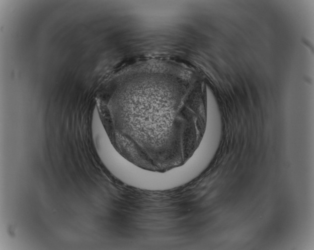 X0000091361298200708241301