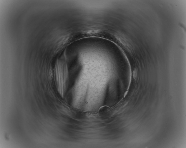 X0000091361299200708241301