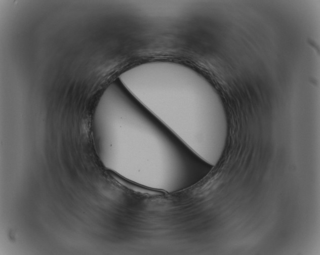X0000091361300200708241301