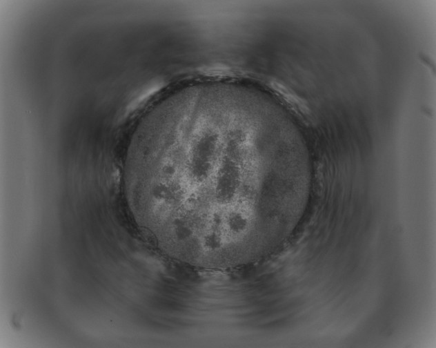 X0000091361302200708241301