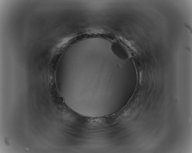 X0000091361303200708241301