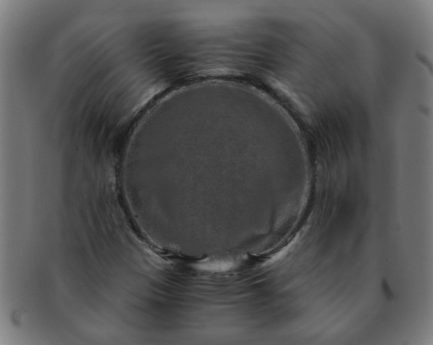 X0000091361305200708241301