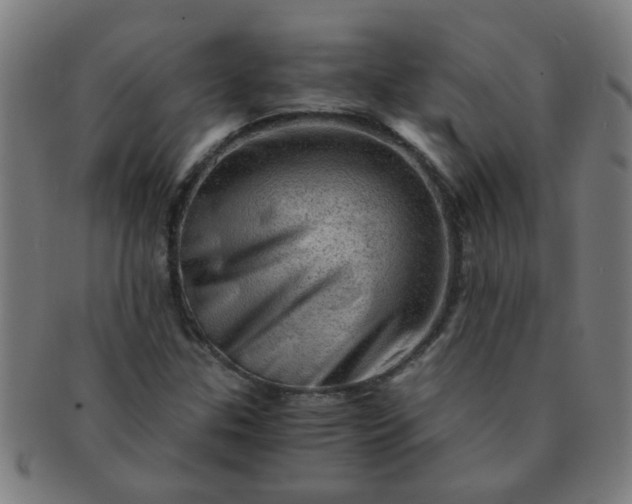 X0000091361307200708241301