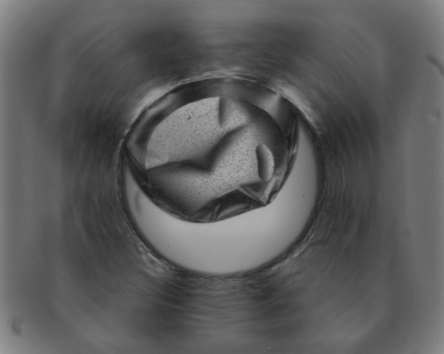X0000091361308200708241301