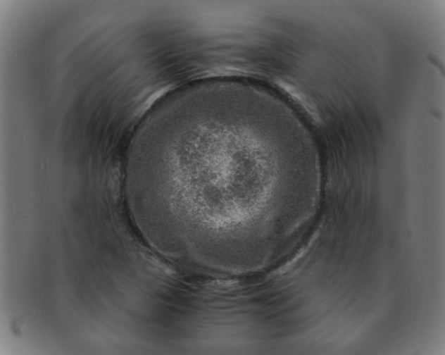X0000091361313200708241301