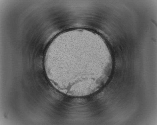 X0000091361314200708241301